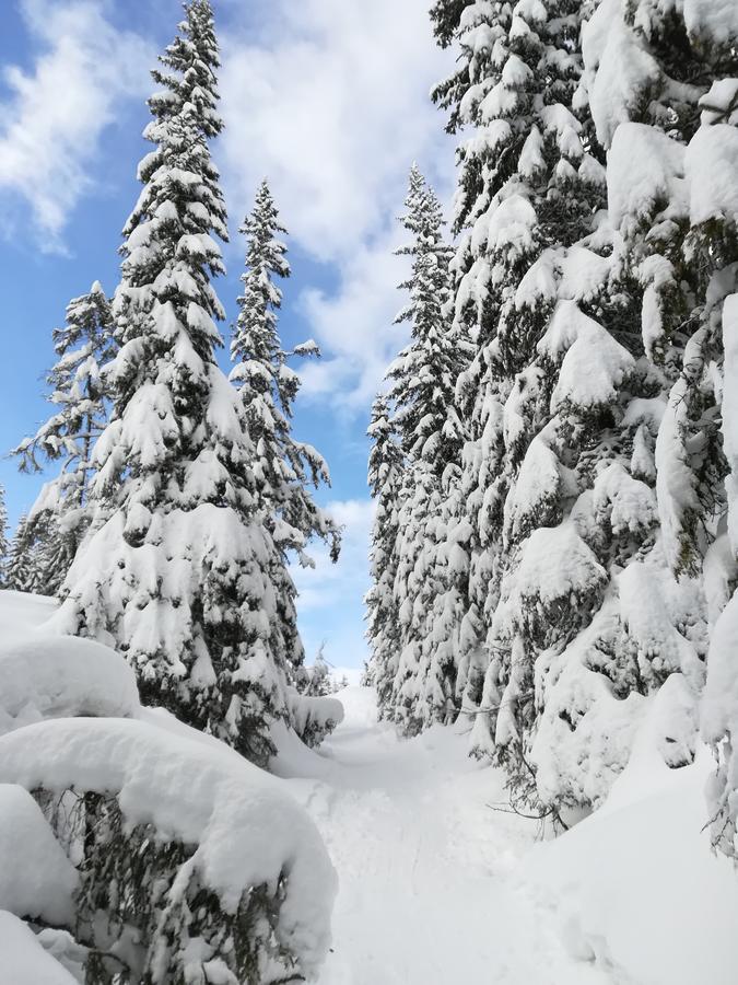 Premium Appartements Sonnenbahn Sankt Michael im Lungau Exteriör bild