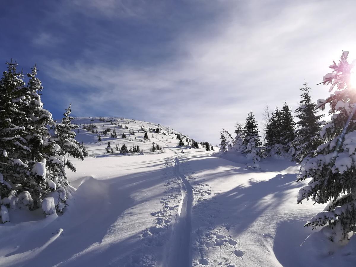 Premium Appartements Sonnenbahn Sankt Michael im Lungau Exteriör bild
